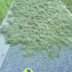 Faries AirJet™ Cleaning System